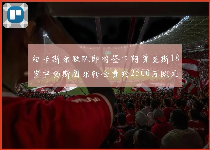 纽卡斯尔联队即将签下阿贾克斯18岁中场斯图尔转会费约2500万欧元